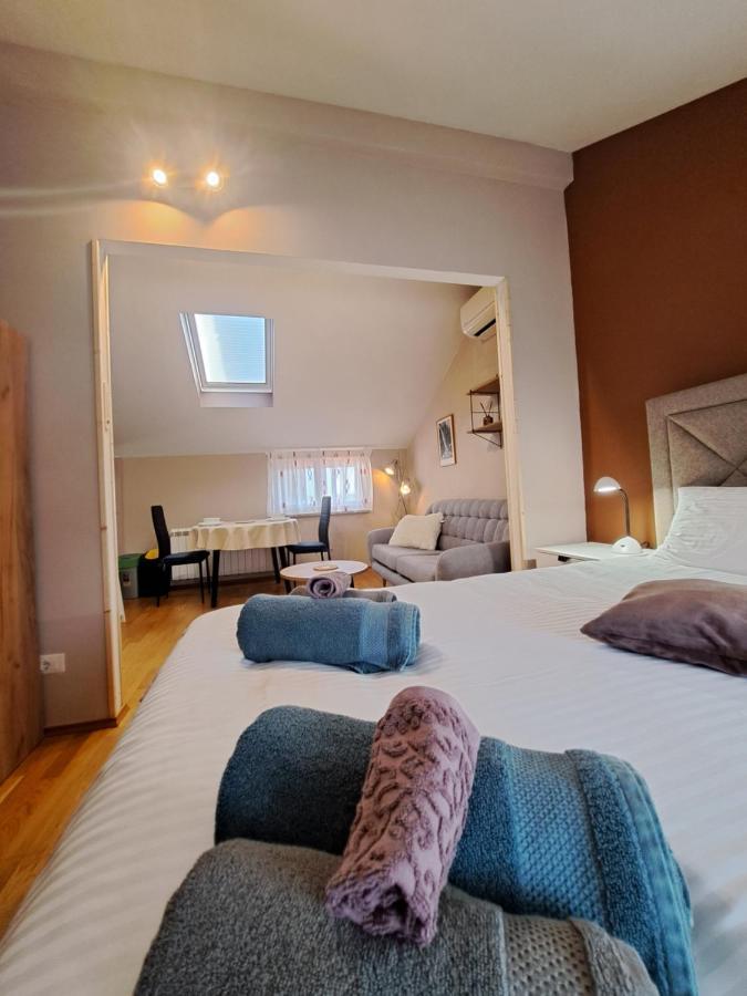 شقة Casa Antonio With Swimming Pool Novigrad Istria المظهر الخارجي الصورة