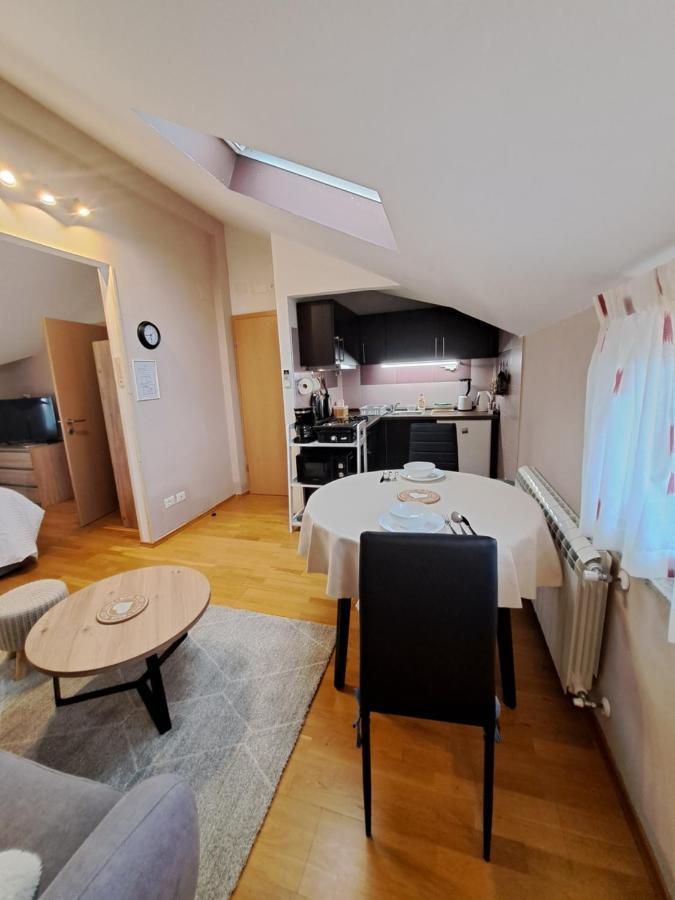 شقة Casa Antonio With Swimming Pool Novigrad Istria المظهر الخارجي الصورة