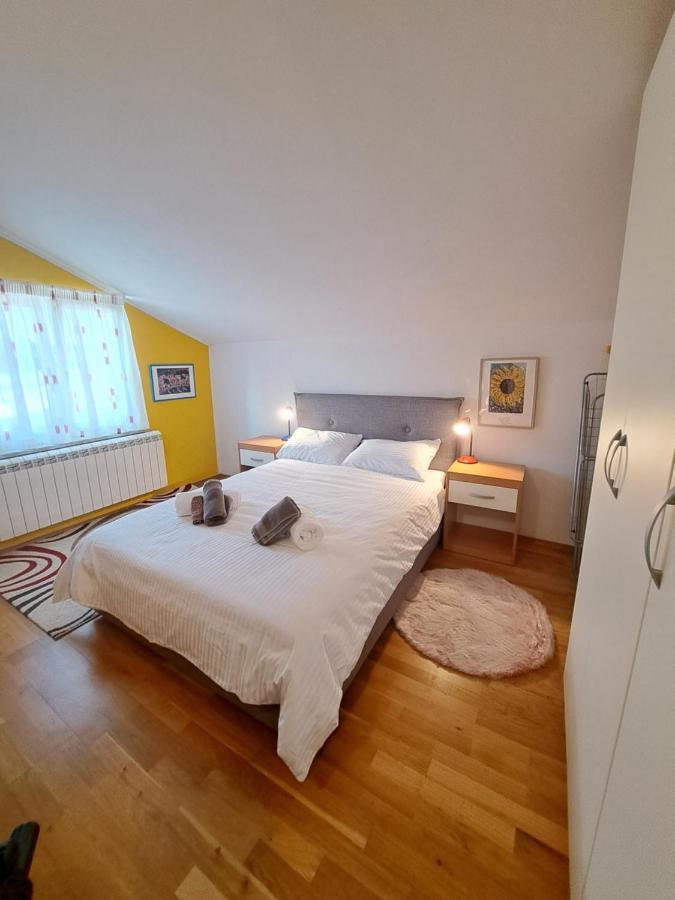 شقة Casa Antonio With Swimming Pool Novigrad Istria المظهر الخارجي الصورة
